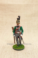 Рядовой шеволежерского полка гвардии. Гессен-Дармштадт, 1806-1812 гг., 54мм - фото